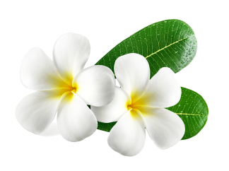 Hair & Beauty Creation Salon